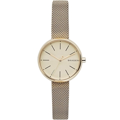 ساعت مچی اسکاژن SKW2614 - skagen watch skw2614  